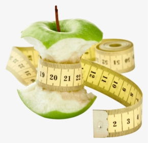 Weight Loss Therapies - No More Diets, HD Png Download, Free Download