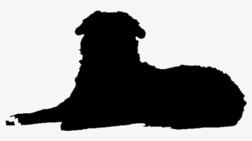 Bernese Mountain Dog Lying Down Png - Terrier, Transparent Png, Free Download