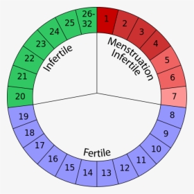 Family Planning Natural Methods, HD Png Download, Free Download