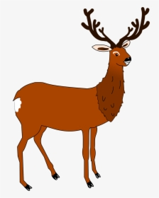 Buck Clipart, HD Png Download, Free Download