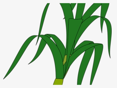 Corn Tree Clipart, HD Png Download, Free Download