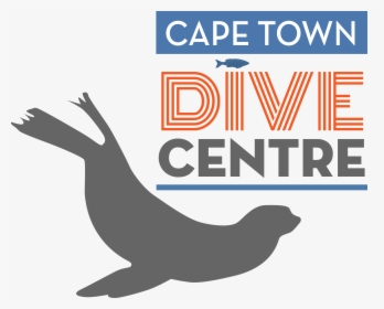 Transparent Seal Animal Png - Cape Town Dive Centre, Png Download, Free Download