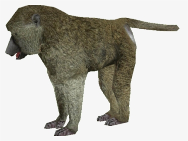 Baboon Png Transparent Images - Baboon Png, Png Download, Free Download