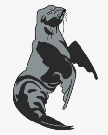 Marine Mammal,california Sea Lion,seal - Sea Lion, HD Png Download, Free Download