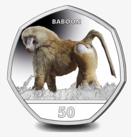 Transparent Baboon Png - Baboon Gibraltar, Png Download, Free Download