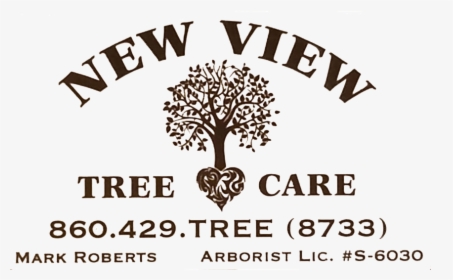 Trees Plan View Png, Transparent Png, Free Download