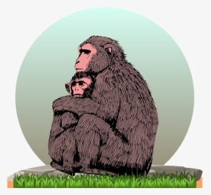 Monkey, HD Png Download, Free Download