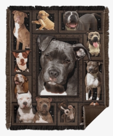 Woven Blanket - - Pit Bull, HD Png Download, Free Download
