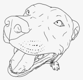 Drawn Pitbull Art - Digital Drawing Of Pitbull, HD Png Download, Free Download