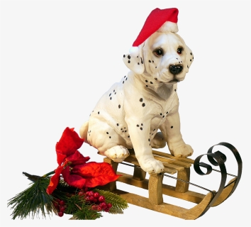Transparent Doggo Png - Christmas Dog No Background, Png Download, Free Download