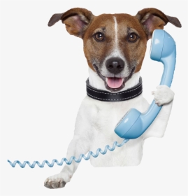 Dog Telephone V2 - Dog And Teacher Quotes, HD Png Download, Free Download