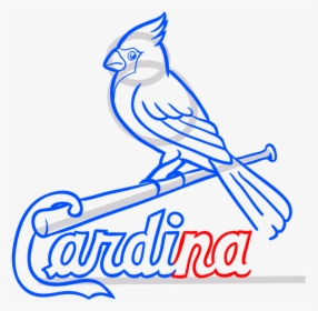 Cardinals Logo Black And White , Transparent Cartoons - St Louis Cardinals Silhouette, HD Png Download, Free Download