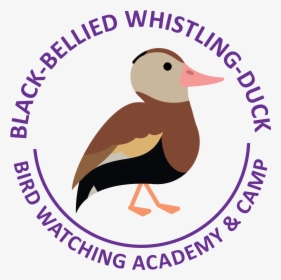 Black-bellied Whistling Duck Picture - Cartoon Black Bellied Whistling Duck, HD Png Download, Free Download