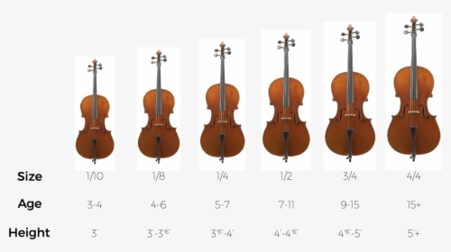Transparent Violin Bow Png - Cello Size, Png Download, Free Download