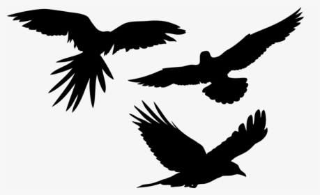 Animal-3175815 1280 - Parrot Flying Silhouette, HD Png Download, Free Download