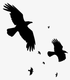 Silhouette Crow Png, Transparent Png, Free Download