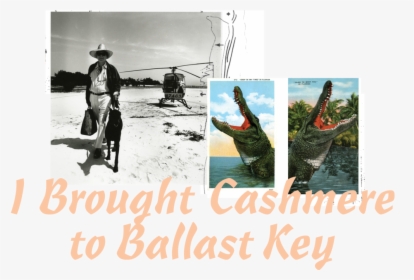 Cashmere - David Wolkowsky Key West, HD Png Download, Free Download