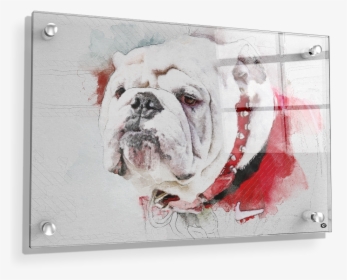 Uga Painting - Canvas Georgia Bulldog Painting, HD Png Download, Free Download