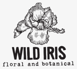 Iris-transperant - Begonia, HD Png Download, Free Download