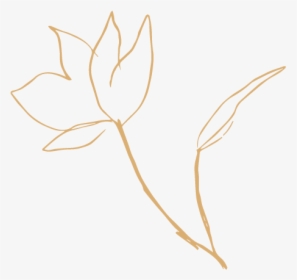 Idlewildfloralco Mark Sol - Drawing, HD Png Download, Free Download