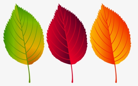 Clip Art Png Clip Art Image - Colorful Fall Leaves Clip Art, Transparent Png, Free Download
