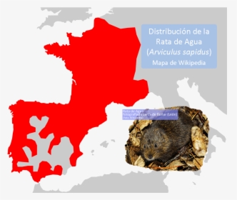 Transparent Rata Png - High Resolution Regions Of France Map, Png Download, Free Download