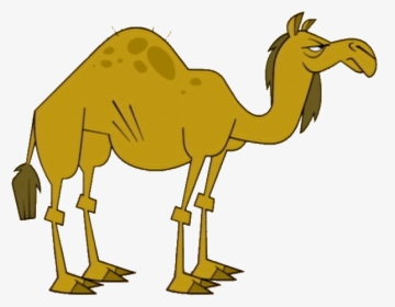 Total Drama Wiki - C Is For Camel, HD Png Download, Free Download