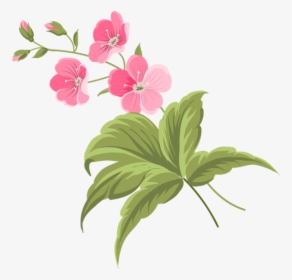 Цветы, Розовый Цветок, Flowers, Pink Flower, Spring, - Floral Botanical Png, Transparent Png, Free Download