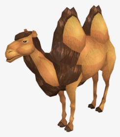 The Runescape Wiki, HD Png Download, Free Download