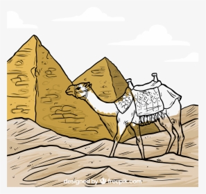 Camels Drawing Pyramid - Camel And Pyramids Drawing, HD Png Download, Free Download