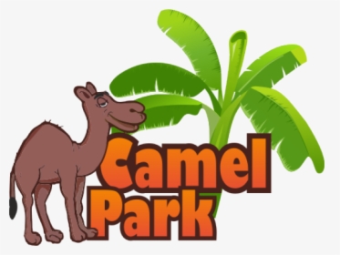 Transparent Camels Clipart - Camel Park Tenerife Logo, HD Png Download, Free Download