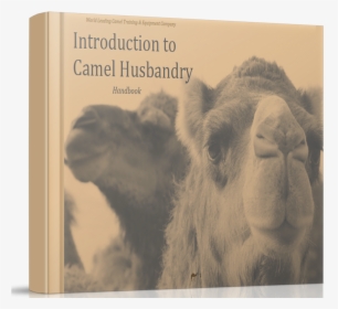 Camel Husbandry Book How To Care For Camels - Bactrian Camel, HD Png Download, Free Download