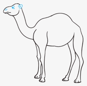 How To Draw Camel - Easy Sketch Of Camel, HD Png Download, Free Download