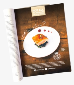 Regal Springs Magazine Ad - Dish, HD Png Download, Free Download