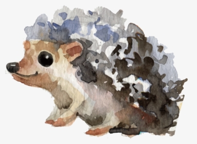 Hedgehog Clipart Watercolor Jpg - Hedgehog Clip Art Watercolor, HD Png Download, Free Download