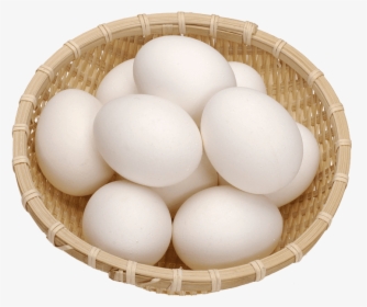 White Egg Png -egg White, Egg - Chicken White Egg Png, Transparent Png, Free Download