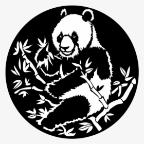 Apollo Asian Giant Panda Gobo"  Data-large Image="//cdn - Drawing, HD Png Download, Free Download
