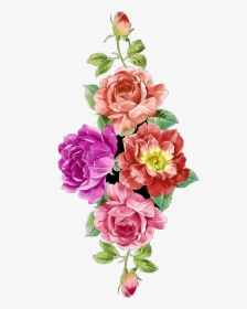 Digital Flower Design, Vector,flower,vector Art,flower - Garden Roses, HD Png Download, Free Download