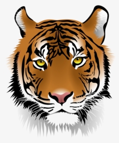 Tiger Cool Face White Clipart Transparent Png - Transparent Tiger Face Clipart, Png Download, Free Download