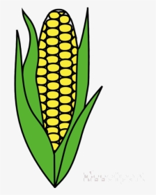 Corn Candy Clipart Cob For Free And Use Images In Transparent - Corn On The Cob Clipart, HD Png Download, Free Download