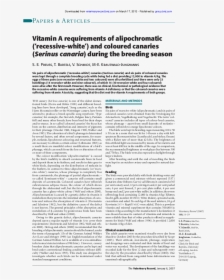Document, HD Png Download, Free Download