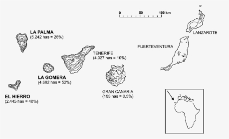 Diagram, HD Png Download, Free Download