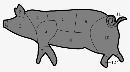 Pork Drawing Side View Svg Free Library - Capocollo Parte Del Maiale, HD Png Download, Free Download