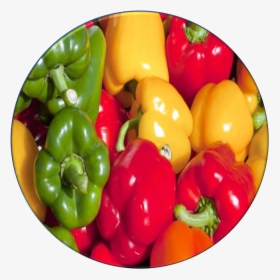 Bell Pepper - $, HD Png Download, Free Download
