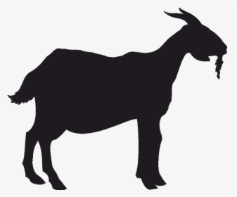Boer Goat Anglo-nubian Goat Pygmy Goat Silhouette - Silhouette Goat Vector Png, Transparent Png, Free Download