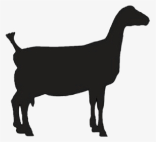 Free Free 258 Silhouette Baby Goat Svg SVG PNG EPS DXF File