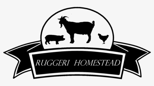 Ruggeri Homestead Goats - Farm, HD Png Download, Free Download