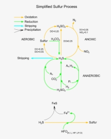 Diagram, HD Png Download, Free Download