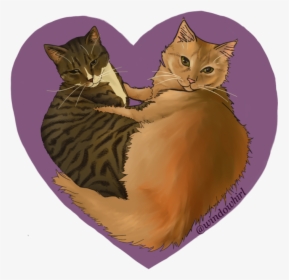 Domestic Short-haired Cat, HD Png Download, Free Download
