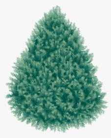 Crib In A Tree Png - Blue Spruce Png, Transparent Png, Free Download